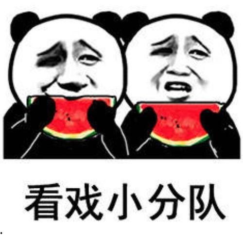 娱乐圈吃瓜图片表情包